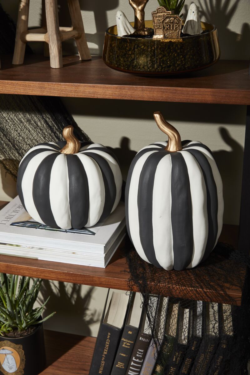 Harlequin Stripe Pumpkin