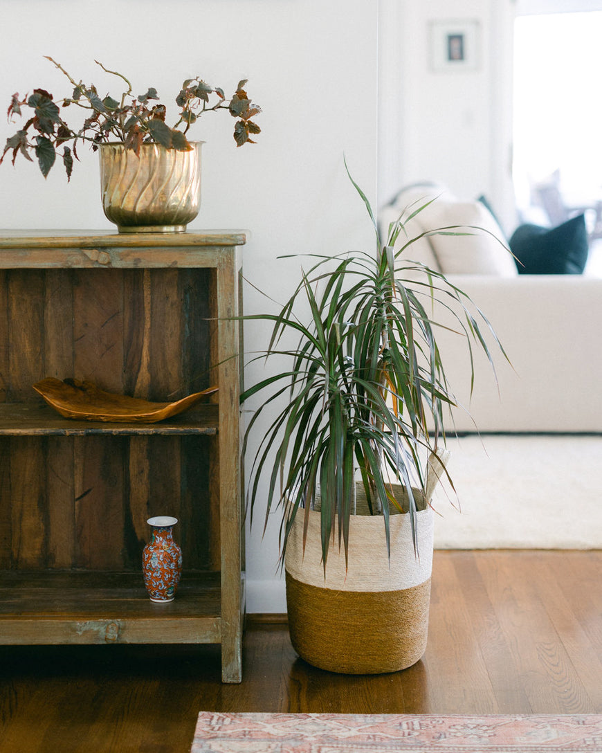 Solana Hanging Basket – Handwoven Palm Storage & Décor